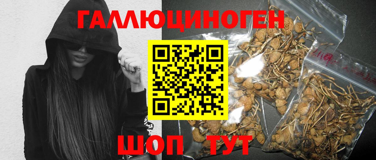 хочу наркоту  Вход с VPN  Гуково  Псилоцибиновые грибы мухоморы 